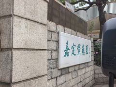 -嘉定紫藤园