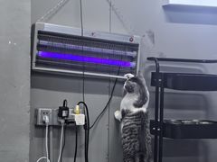 -蓝天射箭馆·专业射箭运动(诚丰广场店)