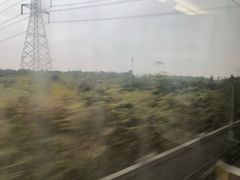 -中国丹阳眼镜城