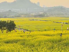 -光明小镇欢乐田园