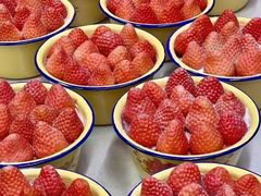 -蜜耳蛋糕(钢花路店)