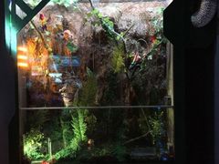 -魔方剧情密室(徐汇店)