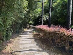 -九龙潭景区
