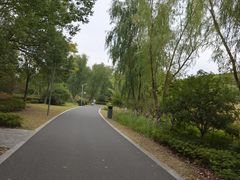 -昆山城市生态森林公园