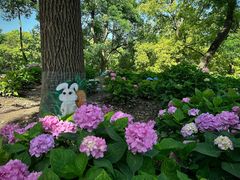 -上海共青森林公园