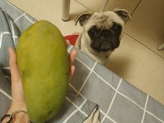 -家辉生鲜超市(东五路店)