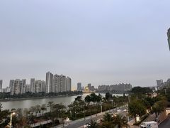 -金苑海鲜酒家(来魅力店)