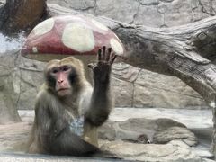 -泉州海丝野生动物世界