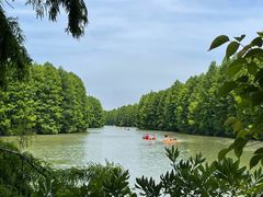 -上海海湾国家森林公园
