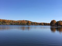 -塞罕坝国家级自然保护区