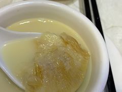 -凤城礼记鱼翅海鲜酒家(新马路总店)