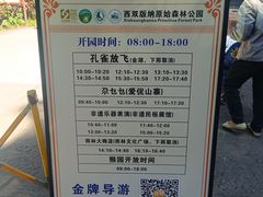 -西双版纳原始森林公园