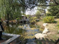 -济南国际园博园