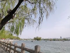 -济南大明湖景区