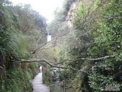-祁门牯牛降观音堂风景区