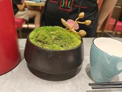 -四川饭店(城乡购物中心店)