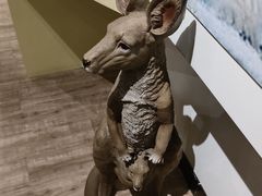 -正佳自然科学博物馆