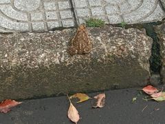 -苏州大学(天赐庄校区)