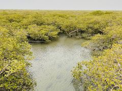 -北海金海湾红树林生态旅游区