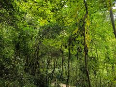 -杭州半山国家森林公园