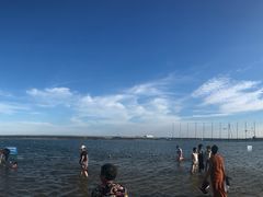 -碧海金沙