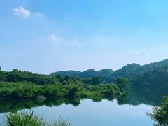 -婺源风景区