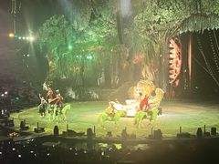 -广州长隆国际大马戏