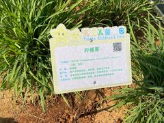 -天河儿童公园