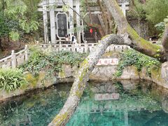 -蝴蝶泉公园