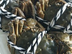 -七的湖·晚芳亭·阳澄湖农家菜·大闸蟹(莲花岛店)