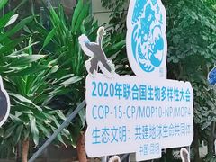 -德宏芒市国际机场