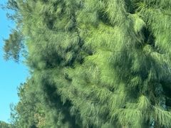 -青澳湾北回归线广场