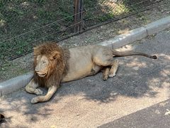 -大连森林动物园