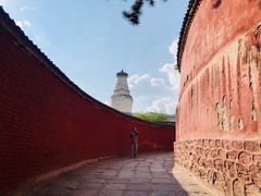 -五台山风景名胜区-罗睺寺