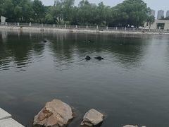 -长春世界雕塑园冰雪艺术天地