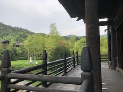 -大唐贡茶院
