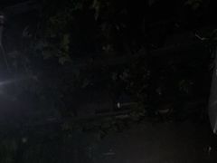-上足·影院足道·SPA(红岭店)