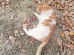 -华东政法大学(松江校区)