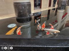-唐山河头老街国丰维景度假大酒店