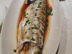 -金美华轩(东方路齐鲁店)