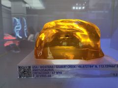 -侏罗纪世界电影特展(广州站)