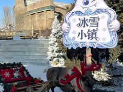 -哈尔滨波塞冬海底世界