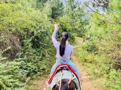 -云南驿景区-茶马古道景点