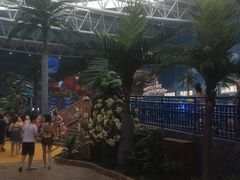 -青岛东方影都融创水世界