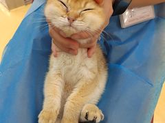 -芭比堂动物医院·犬猫全科·异宠专科(雁塔分院)