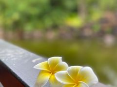 -婉泰·特色小吃·舂鸡脚(告庄二店)