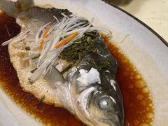 -隐山栖(鸿泰佳园店)