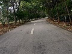 -凤凰沟景区