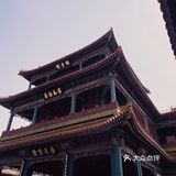 4月的闲逛故宫之旅海棠花、丁香花飘香
