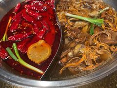 -小龙坎火锅(东汇城店)